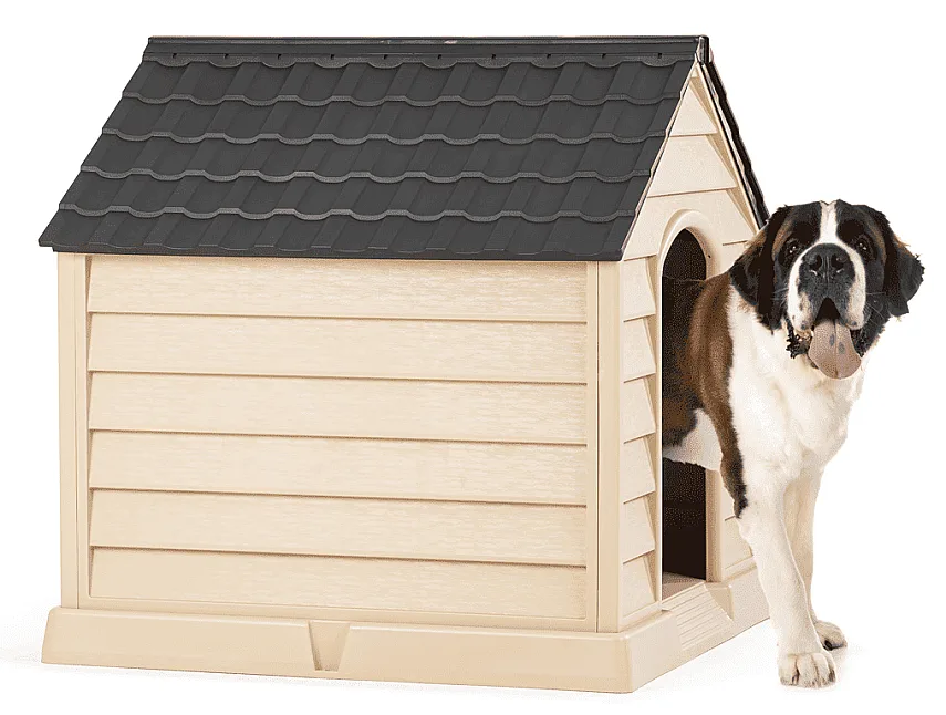 Köpek Klubesi - Büyük