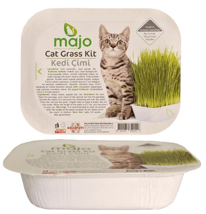 Majo Fileli Kedi Çimi 40'lı